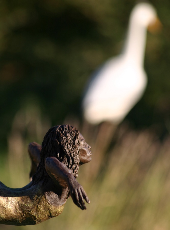 L'envol De La Héronne, photo 6