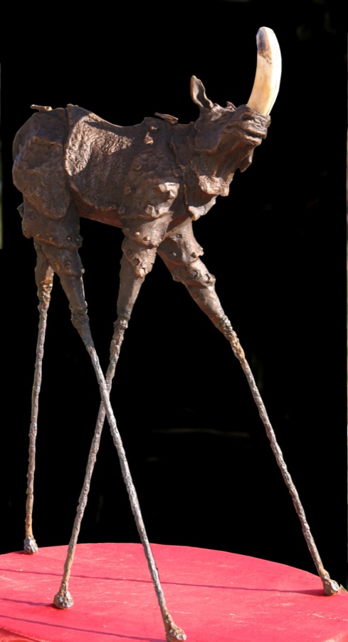 Rhinozip