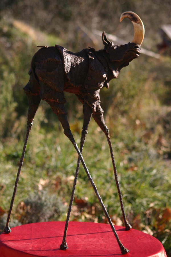 Rhinozip, photo 3