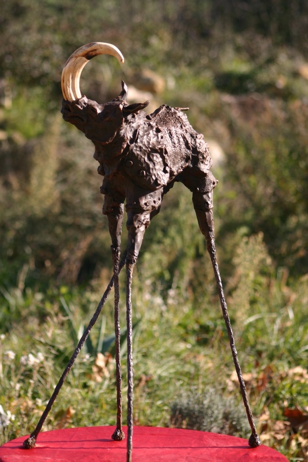 Rhinozip, photo 4