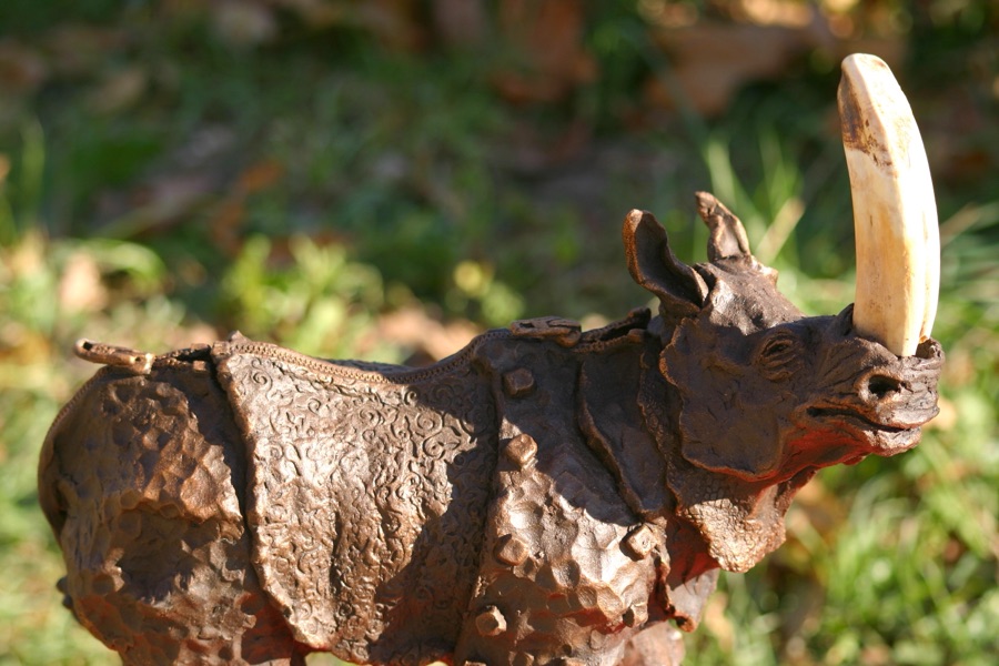 Rhinozip, photo 7