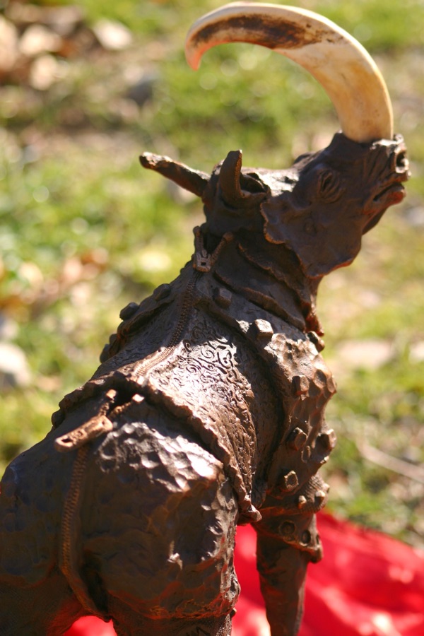 Rhinozip, photo 8