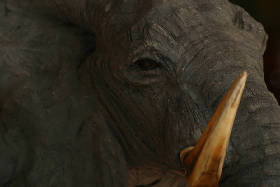 Touré Kunda, photo 10