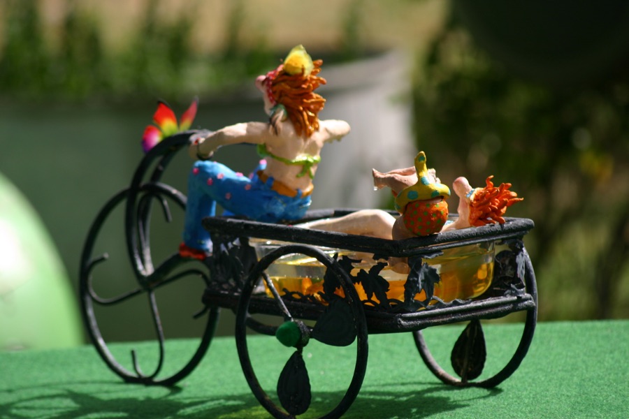 La Piscimobile, photo 1