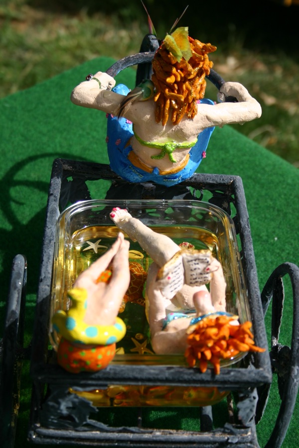 La Piscimobile, photo 7