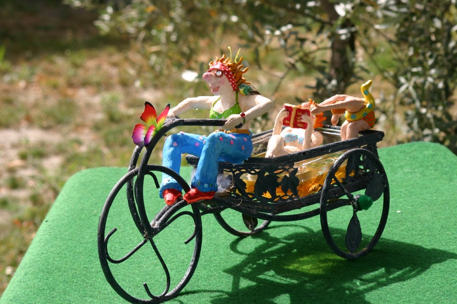 La Piscimobile, photo 13