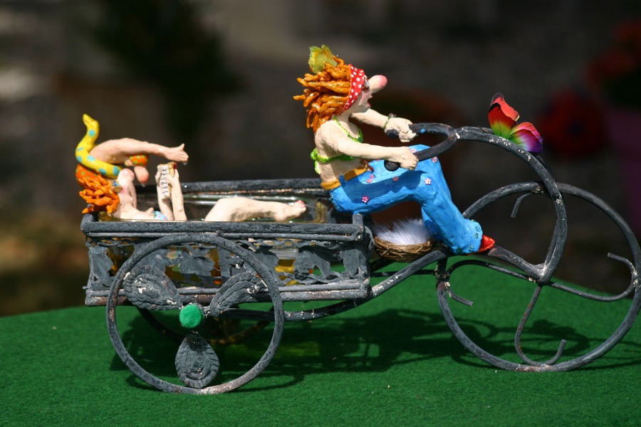 La Piscimobile, photo 15