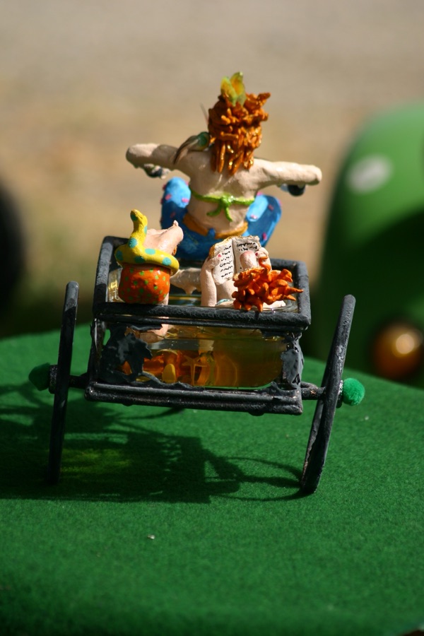 La Piscimobile, photo 16