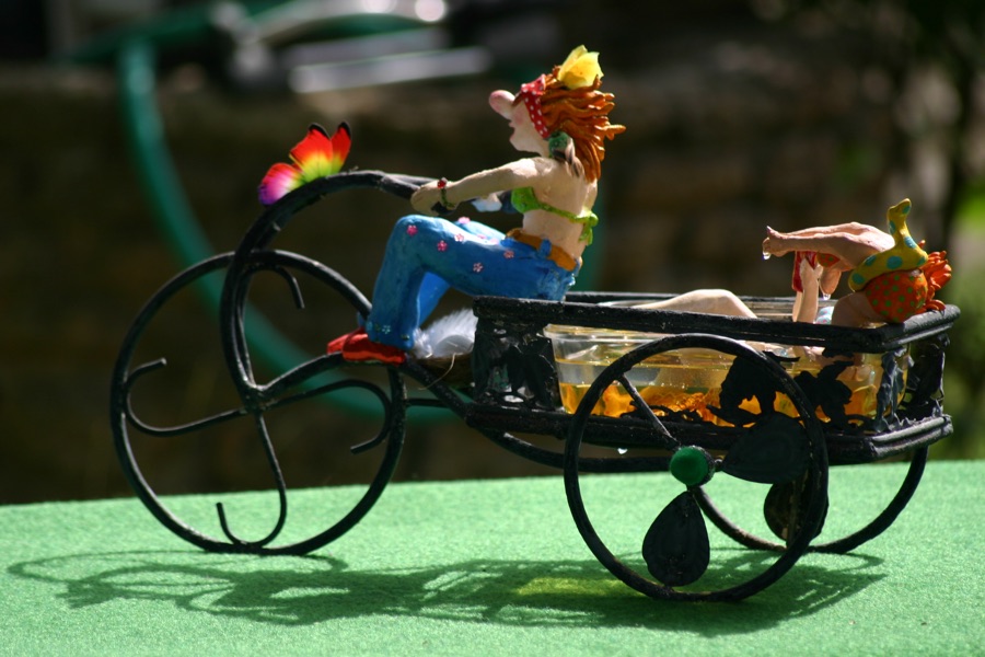 La Piscimobile, photo 17