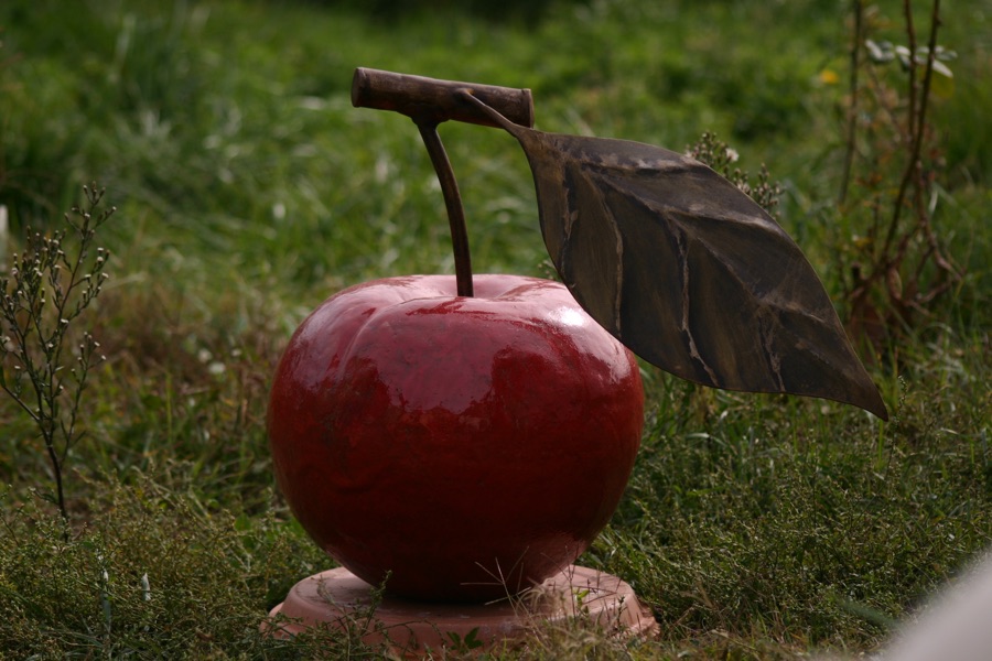 Les Fruits Géants, photo 11