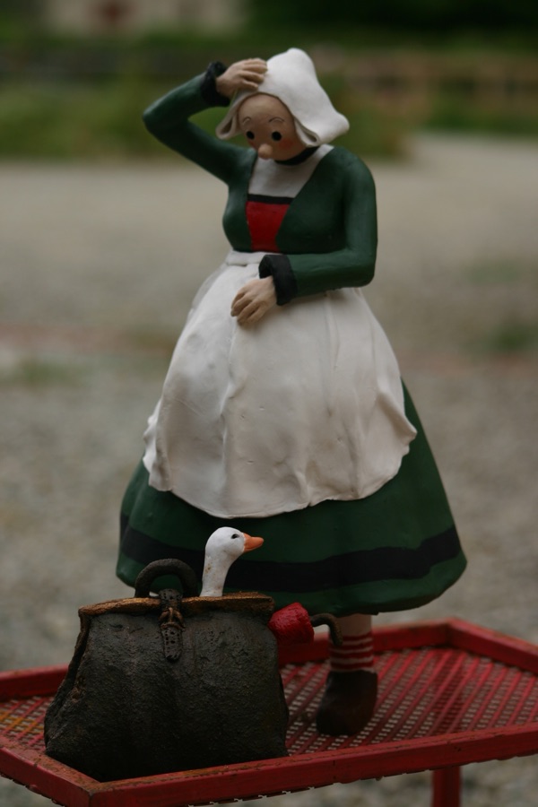 Bécassine, photo 2