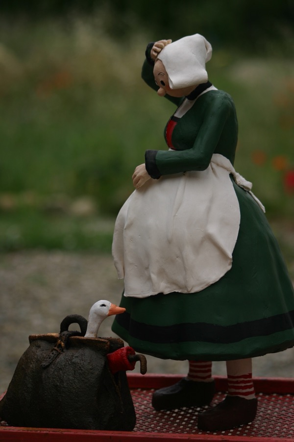 Bécassine, photo 4